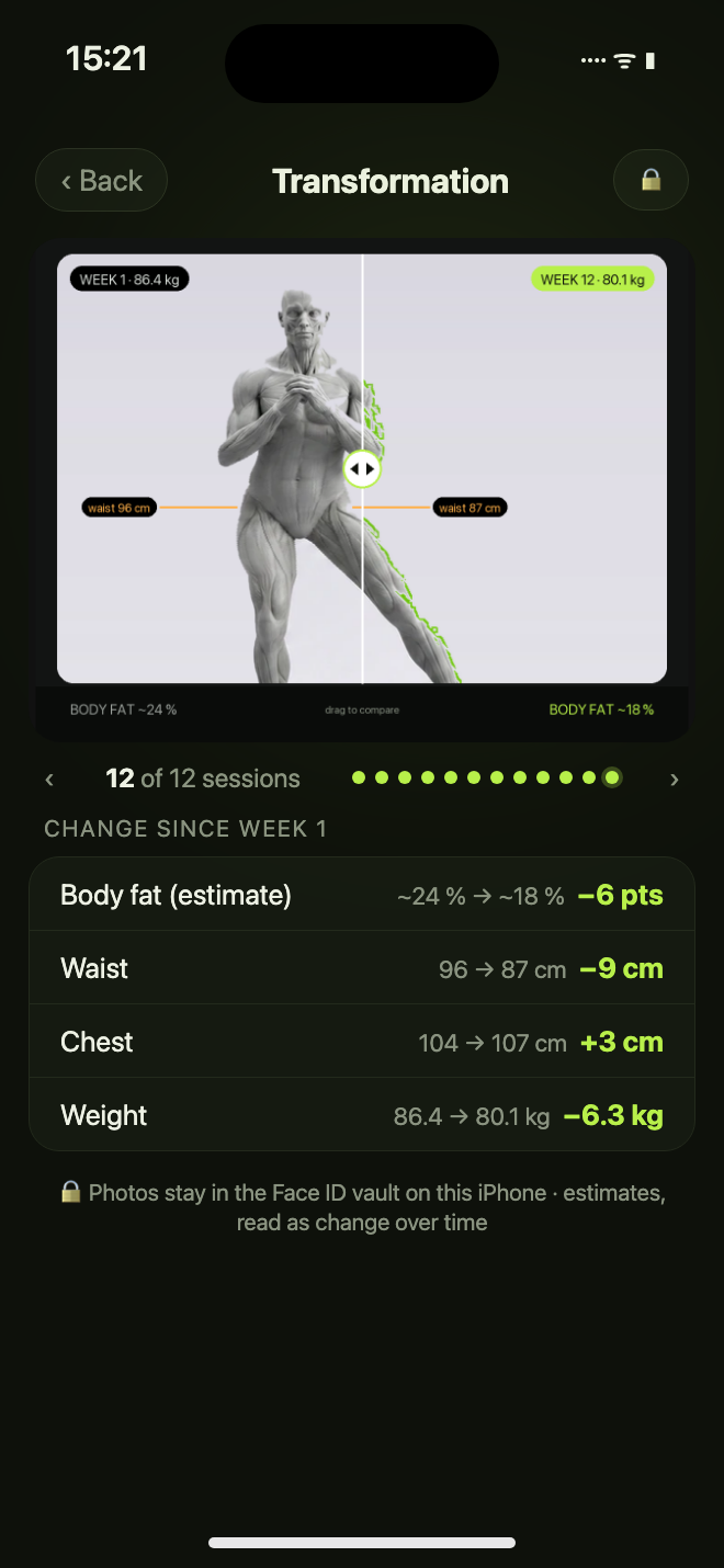 Body transformation timelapse with body-fat estimate